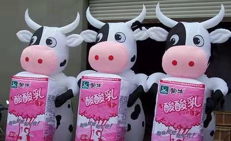 武平牛奶厂广告气模